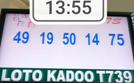 Bonjour chers lecteurs et parieurs, et bienvenue sur le blog www.loterie-togo.com. Le moment tant attendu est afin là, voici les résultats ou numéros gagnants du loto KADOO tirage 739 de ce jour vendredi 17 Février 2023. 
On aura un tirage sans bonus.